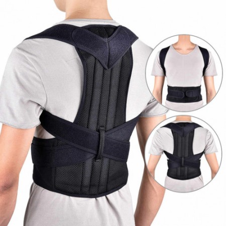 BACK SUPPORT BELT